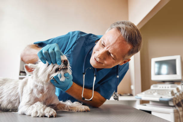 Best Urgent Dental Care  in Jacobus, PA